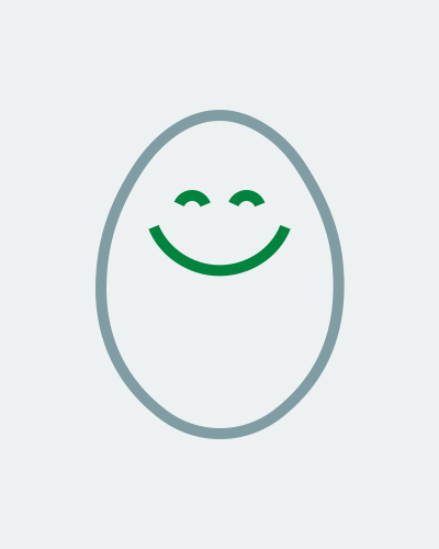 egg illustration